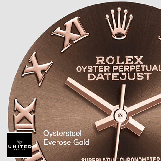 rolthtex Datejust Chocolate Roman Dial Replica white background