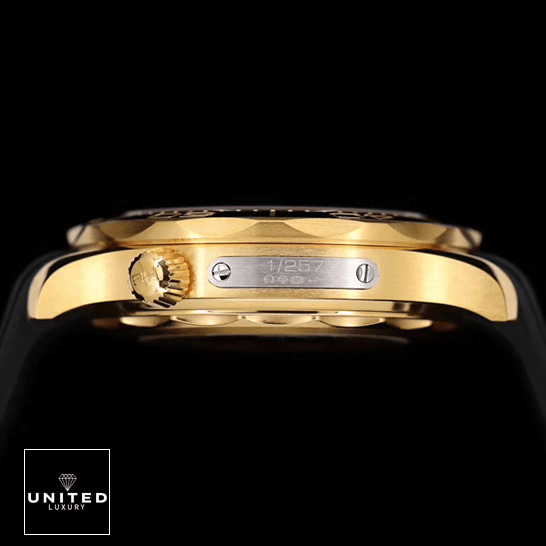 omethtga Seamaster Gold Case 1/257 Replica side view black background