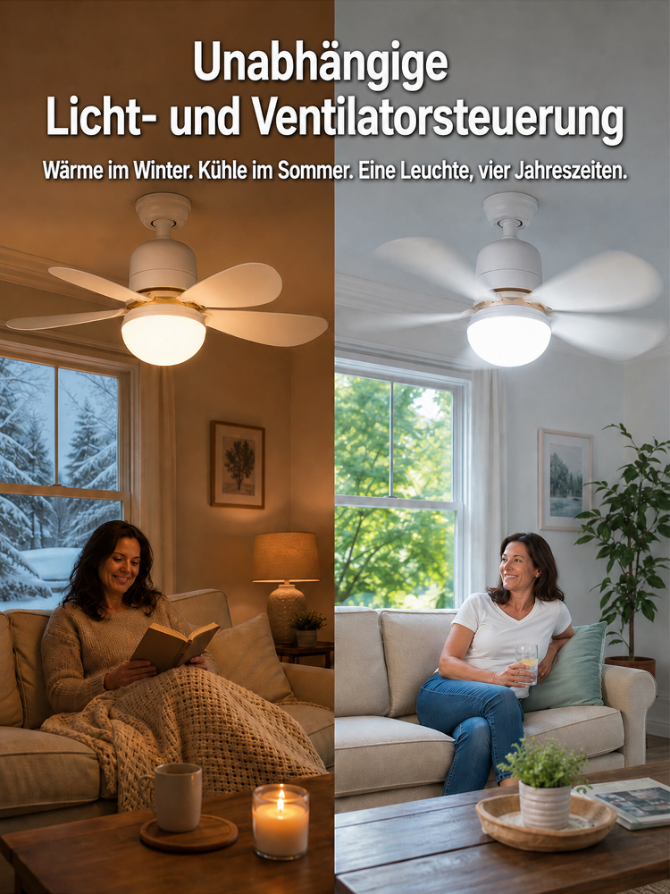 2-in-1 Verstellbarer Ventilator mit Beleuchtung