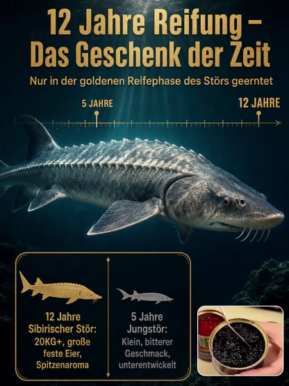 Premium Import Stör-Kaviar Geschenkbox