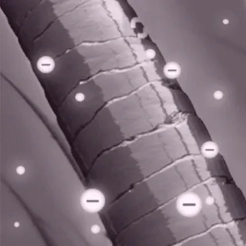 Digital Engine & Temperature Control