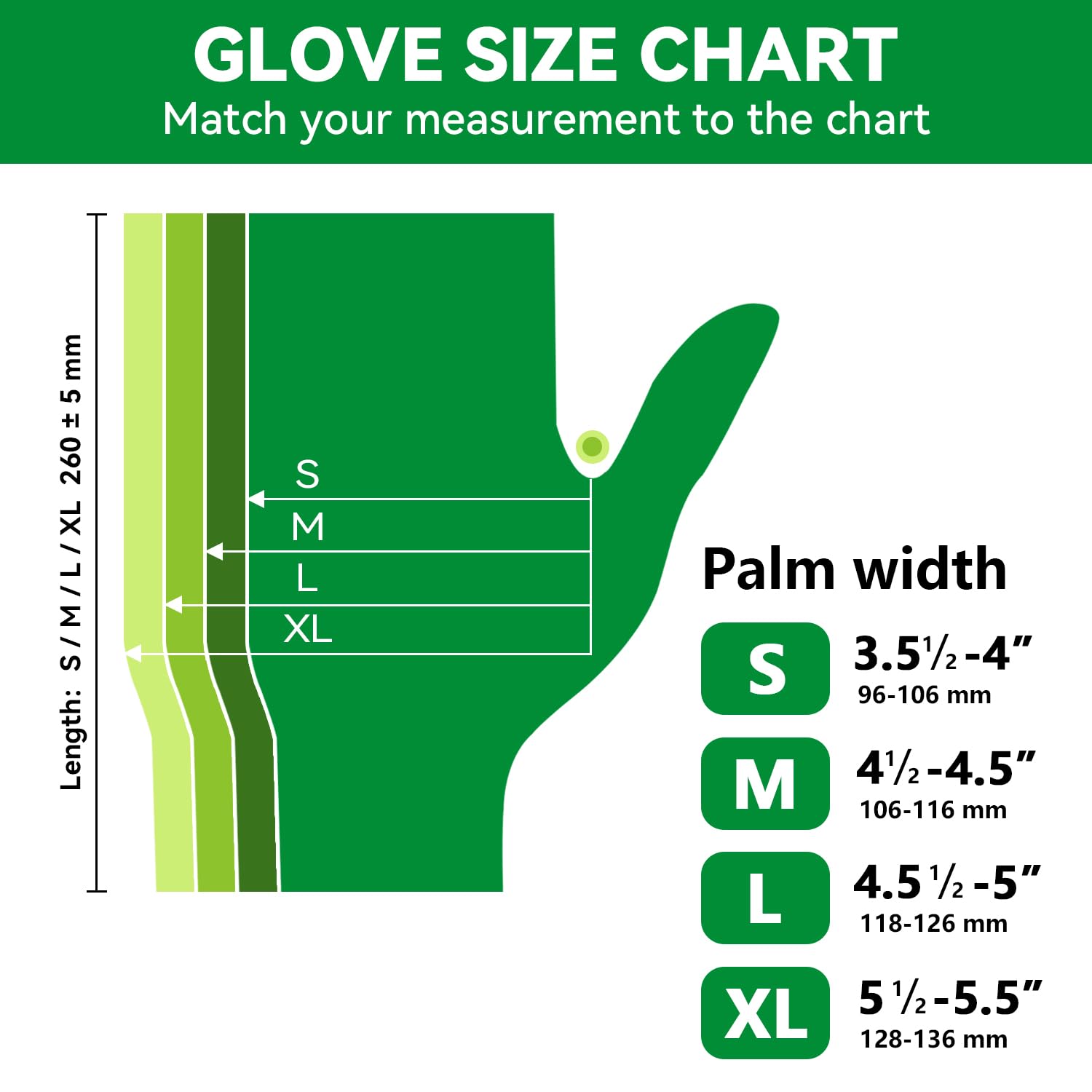 Disposable Clear PE Gloves 200/Box, Food Safe & Powder-Free-BESTONE®