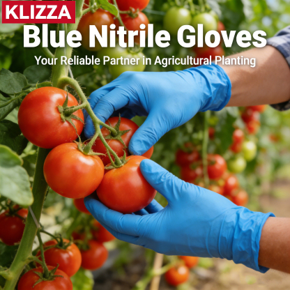 1000 Total Blue Nitrile Gloves - Food Safe Disposable Gloves