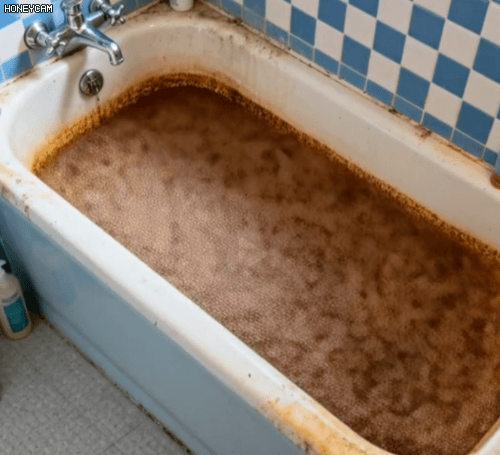 Honeycam 2025-11-25 11-06-34.gif