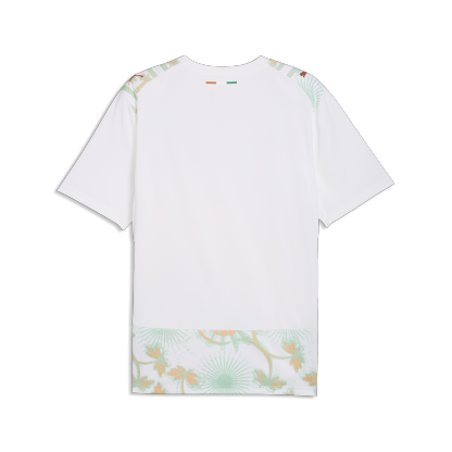 Ivory Coast Adult World Cup 2026 Away Replica Jersey