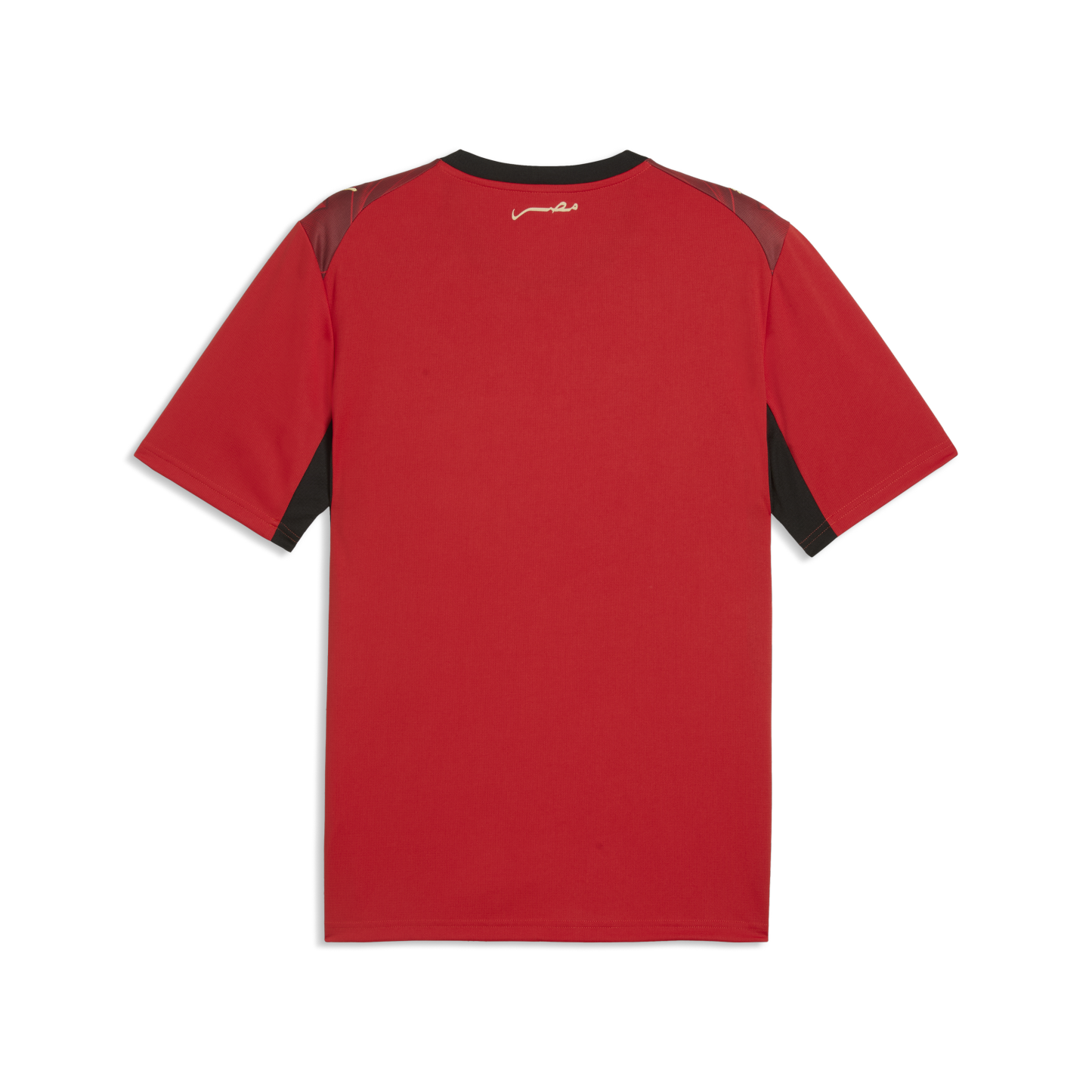 Egypt Adult World Cup 2026 Home Replica Jersey