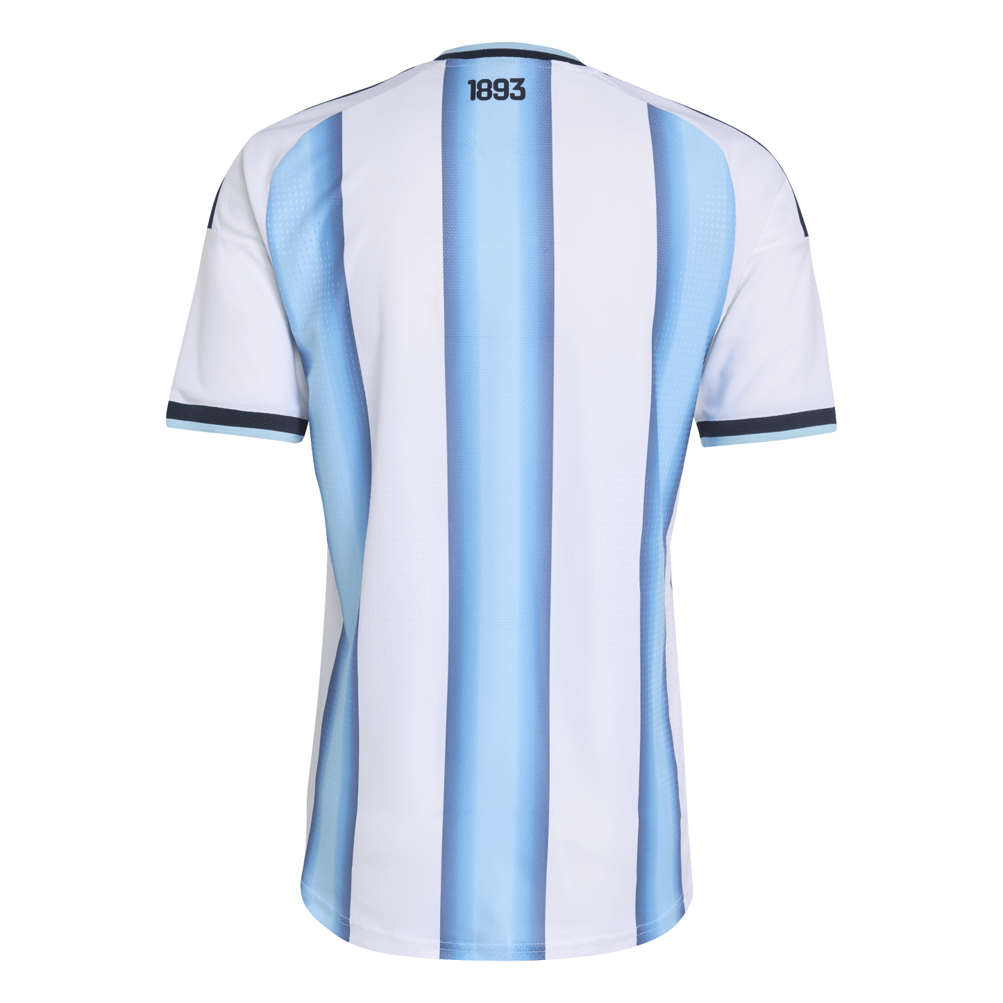 Argentina Adult World Cup 2026 Home Authentic Jersey