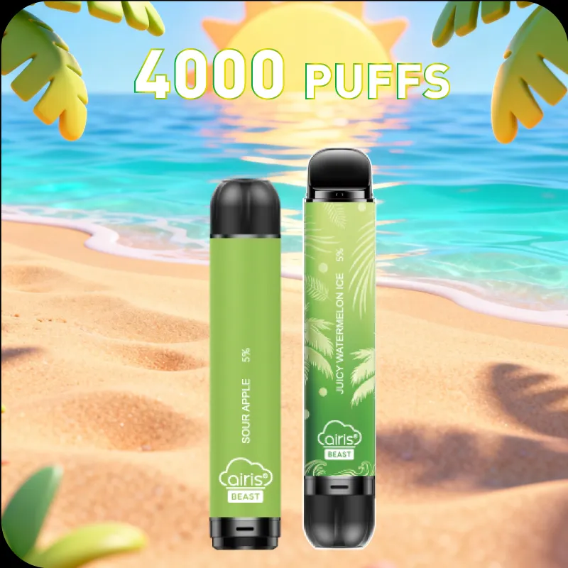 BEAST 4000 Middle Box