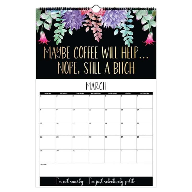 Here We F*cking Go Again: 2026 Swear Calendar for Tired-Ass Women