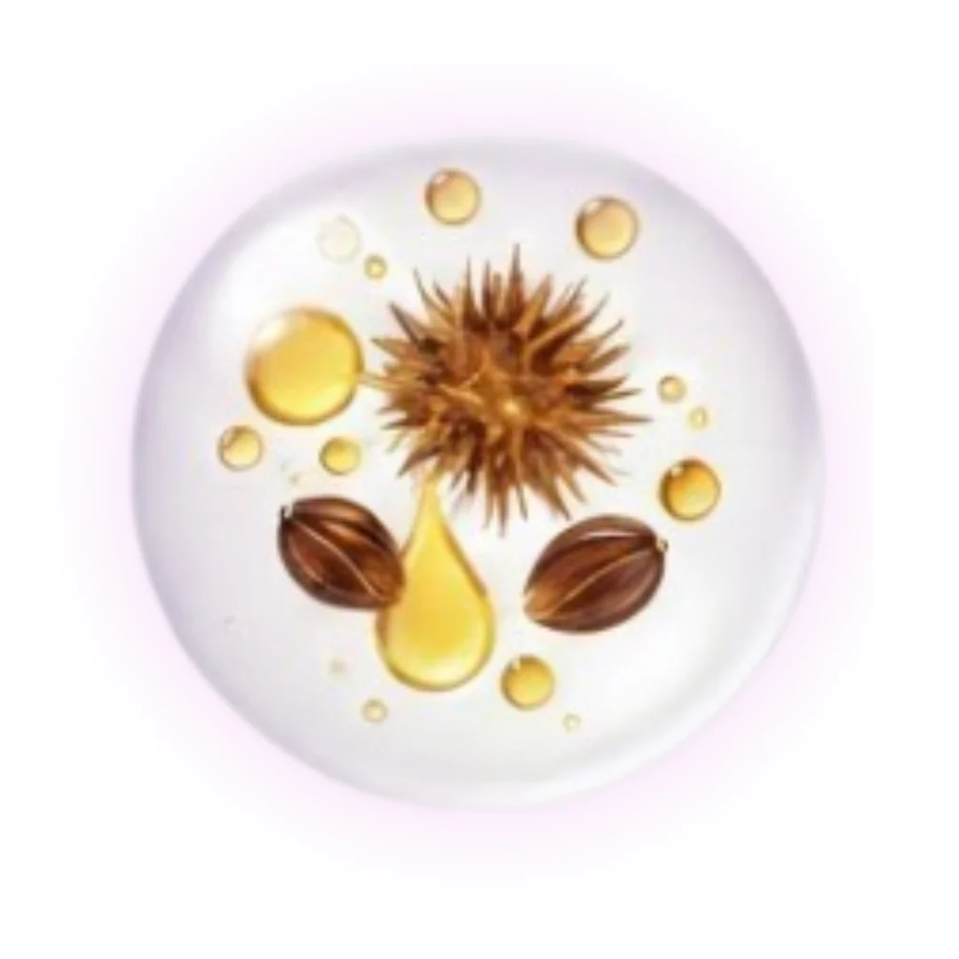 ColumnChestnut Seed Extract