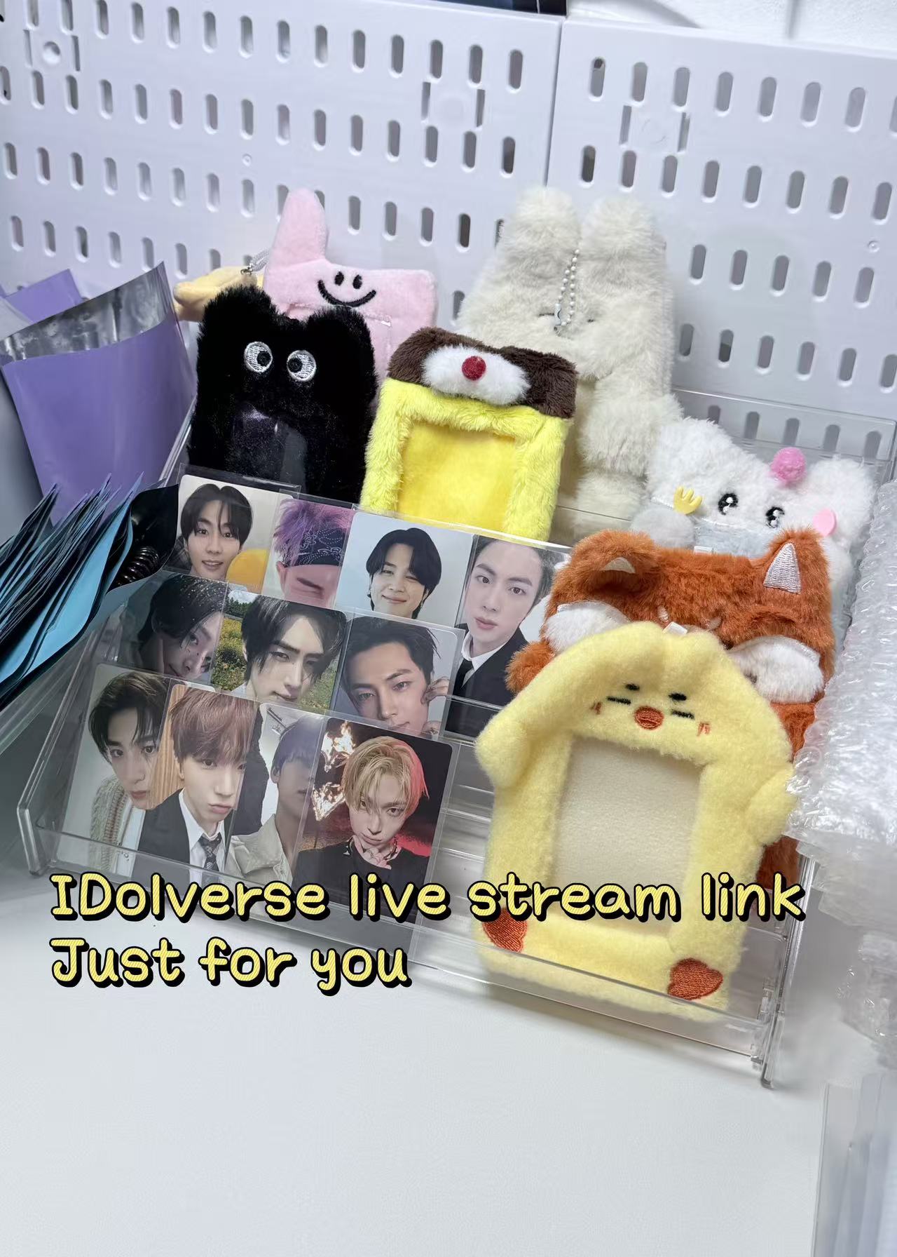 IDOLverse live stream link just for you