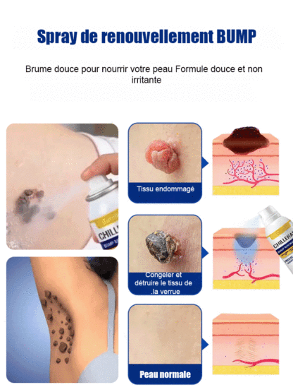 Brume Rafraîchissante et Apaisante