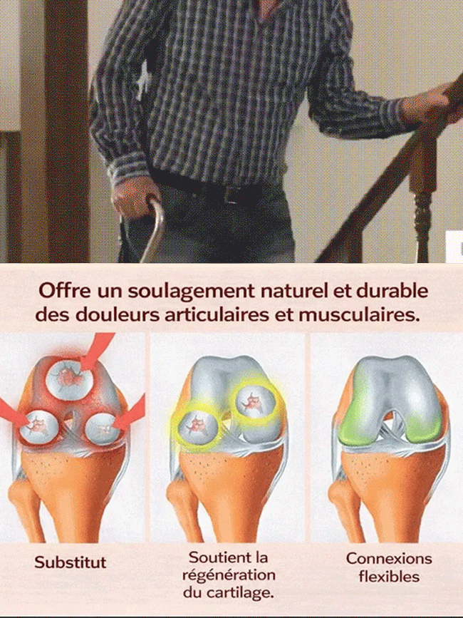 🍒Cerisier Nain XXL : Pas de fruits = remboursement 100% ✅Plantez-le maintenant pour une récolte dès le mois de mai.