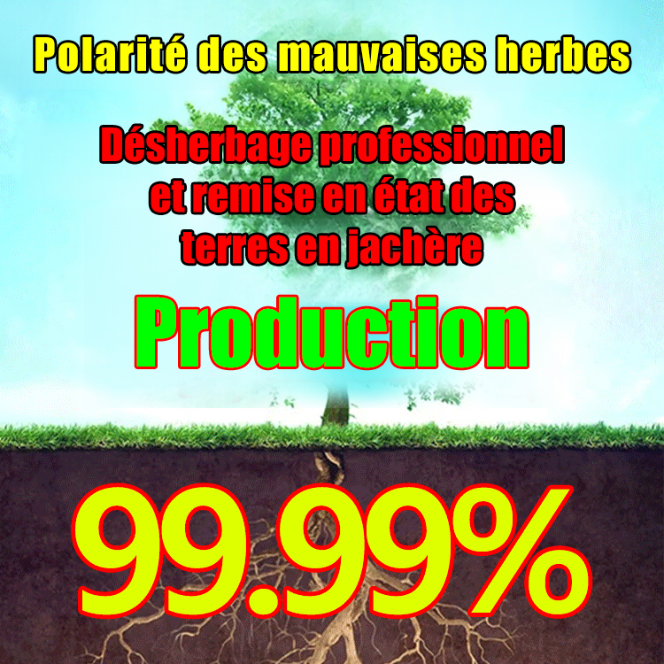 【Spécialiste des mauvaises herbes】Glufosinate-P-ammonium à haute concentration