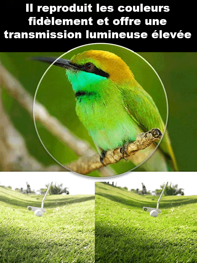 Lunettes de lecture anti-lumière bleue à verres photochromiques