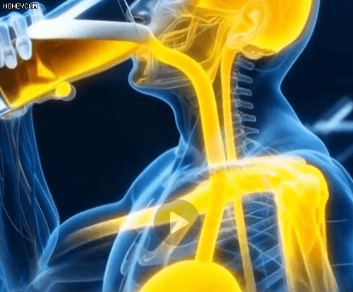 Honeycam 2026-01-14 15-02-03.gif