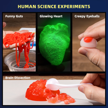 GOB Gross Chemistry Experiments Science Kit  