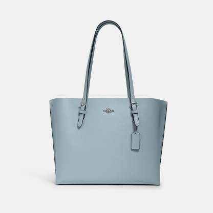 Coathtch Classic handbags
