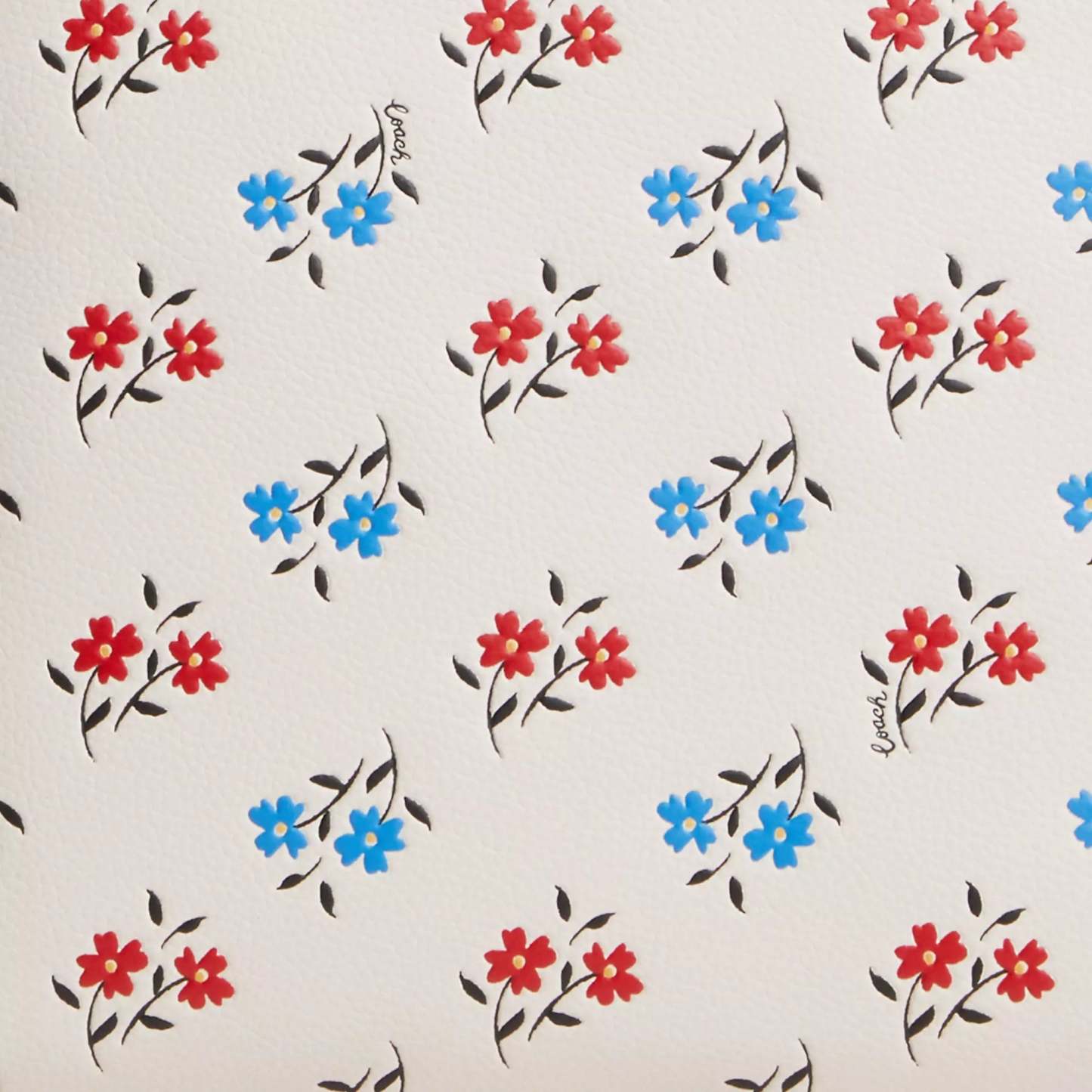 Coathtch Tote Bag With Floral Print