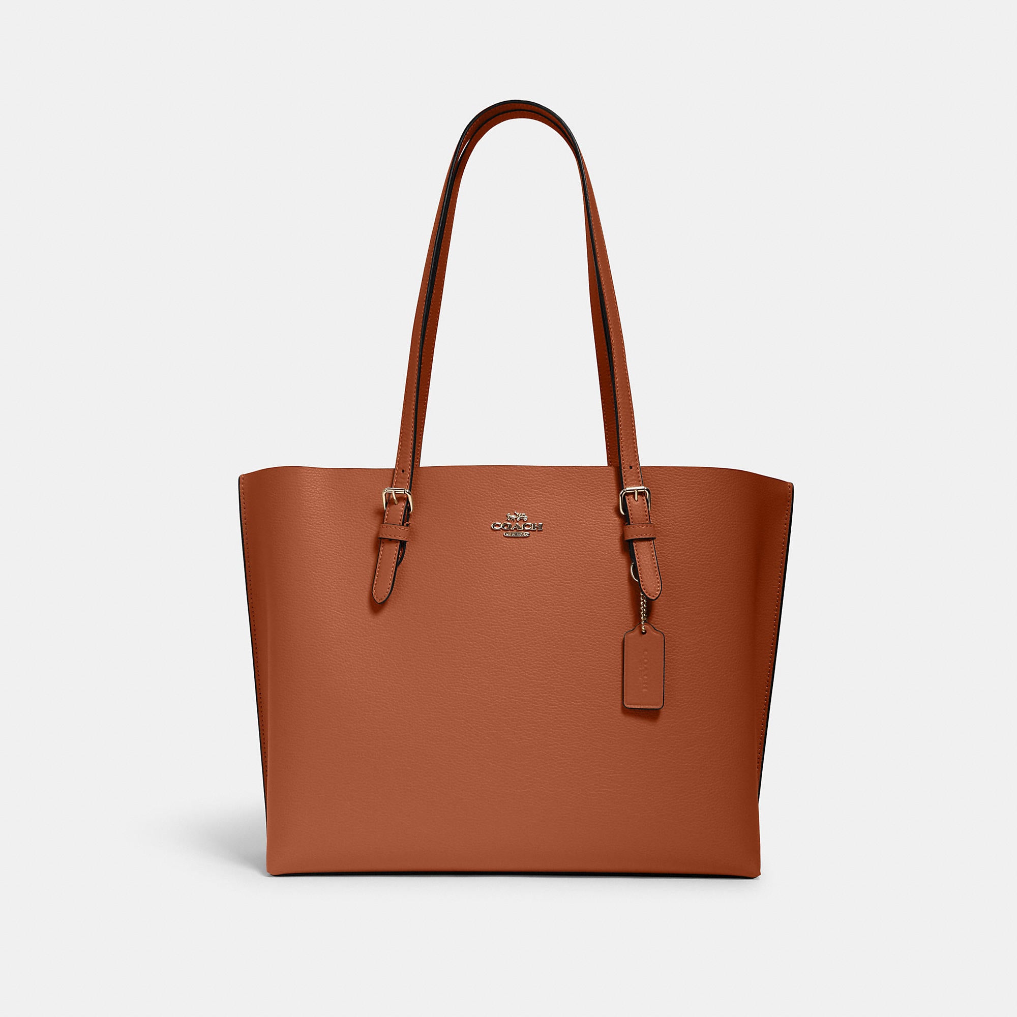 Coathtch Classic handbags
