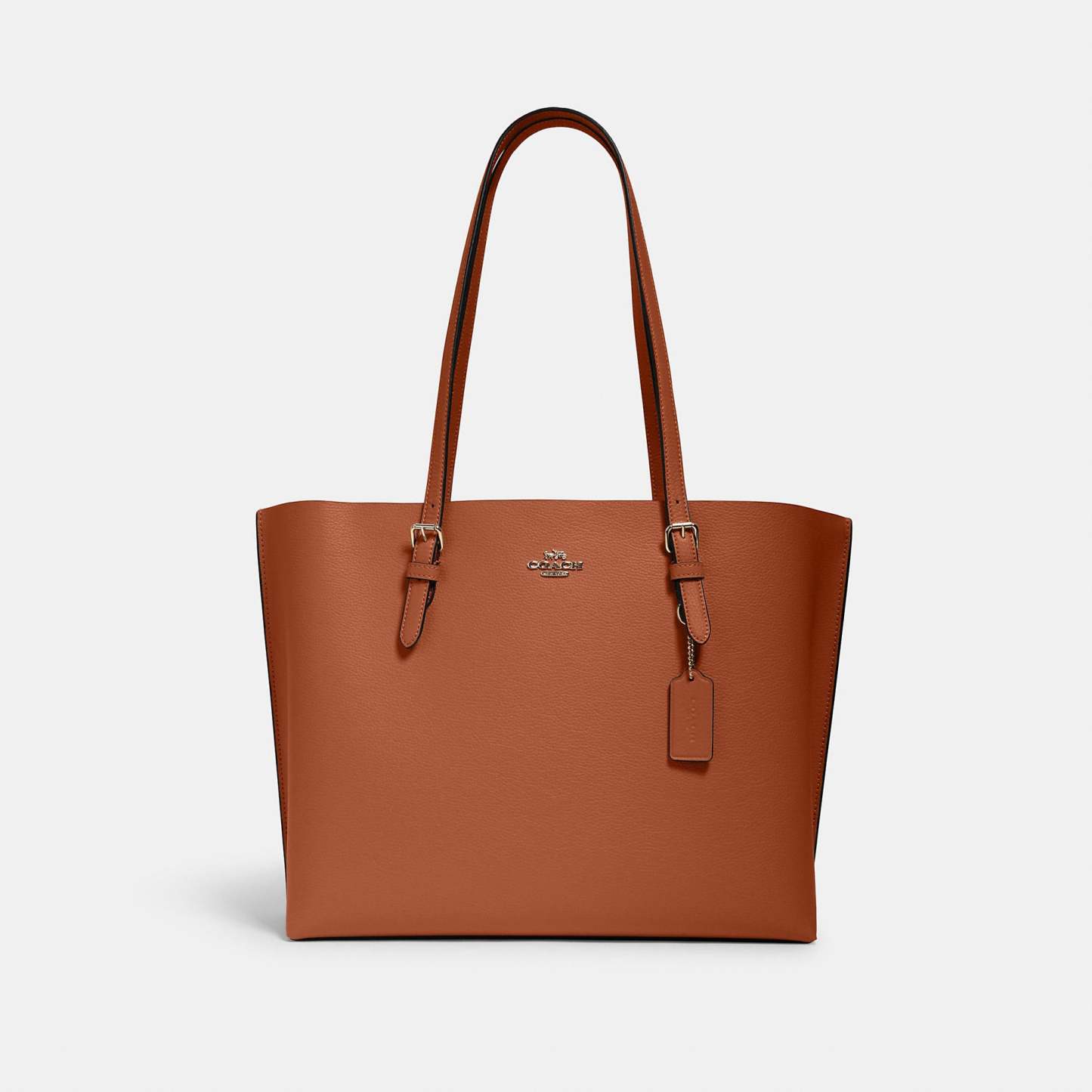 Coathtch Classic handbags