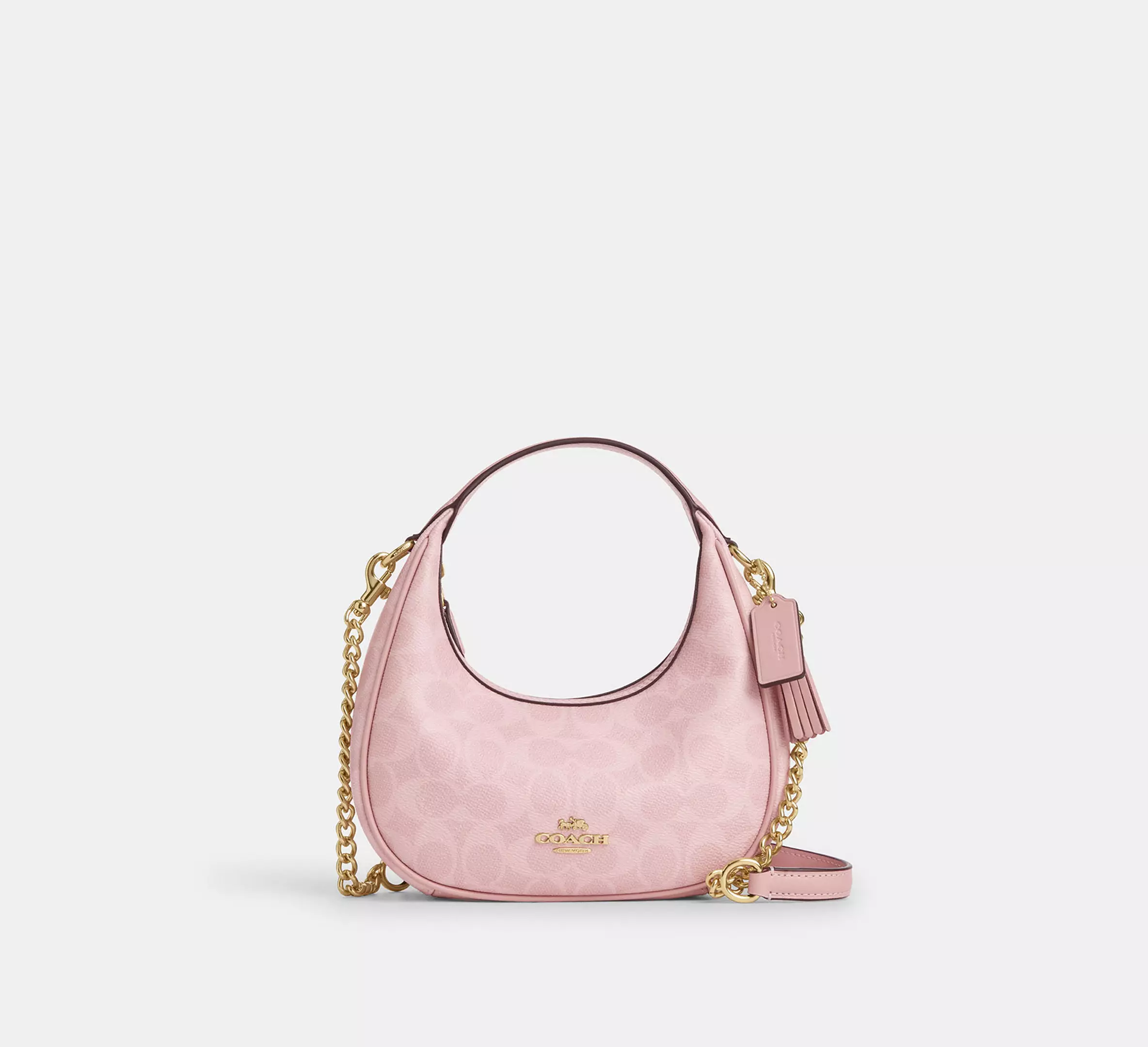 Mini Crossbody Bag In Signature Canvas
