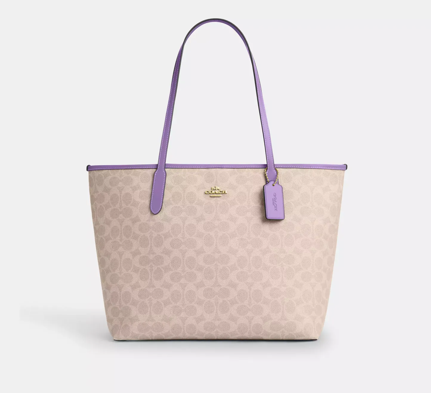 City Tote Bag In Signature Canvas