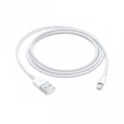 Apthtple 2m Lightning to USB Cable (New)