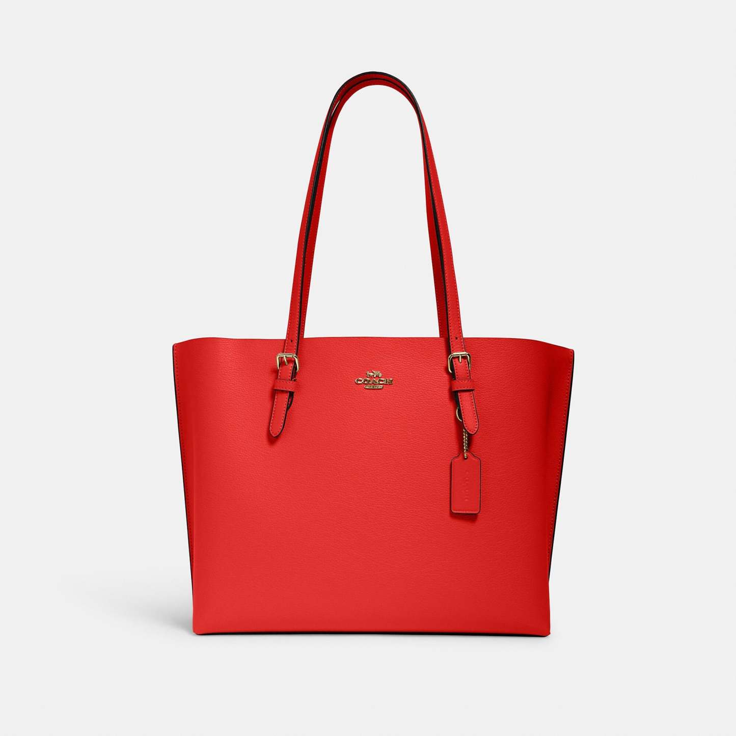 Coathtch Classic handbags