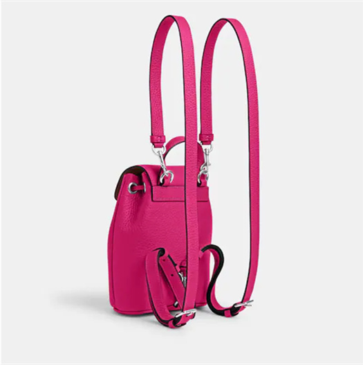 Coathtch Classic handbags