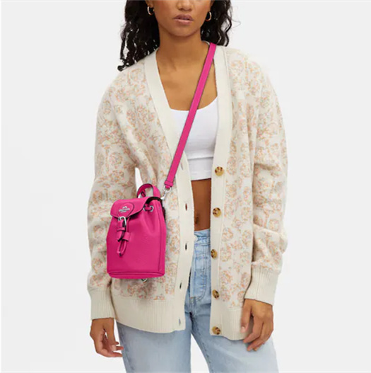 Coathtch Classic handbags