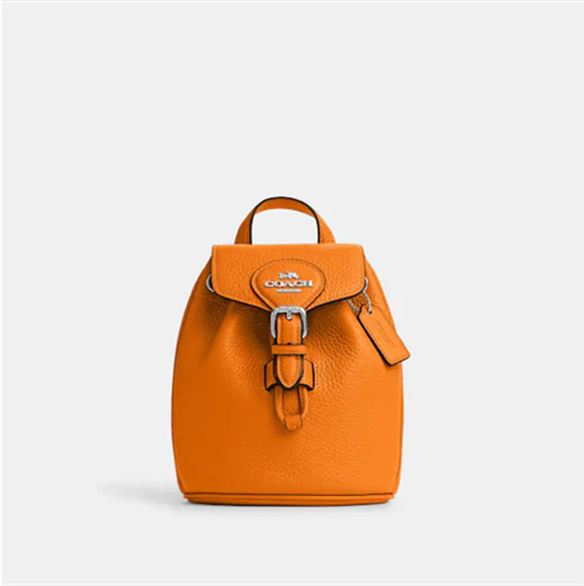 Coathtch Classic handbags