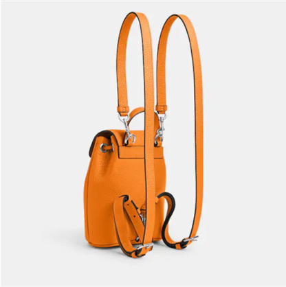 Coathtch Classic handbags