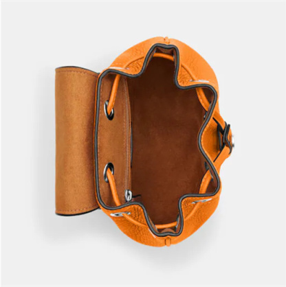 Coathtch Classic handbags