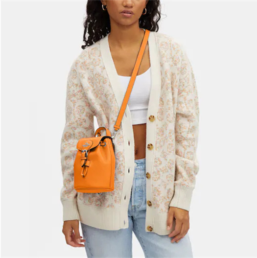 Coathtch Classic handbags