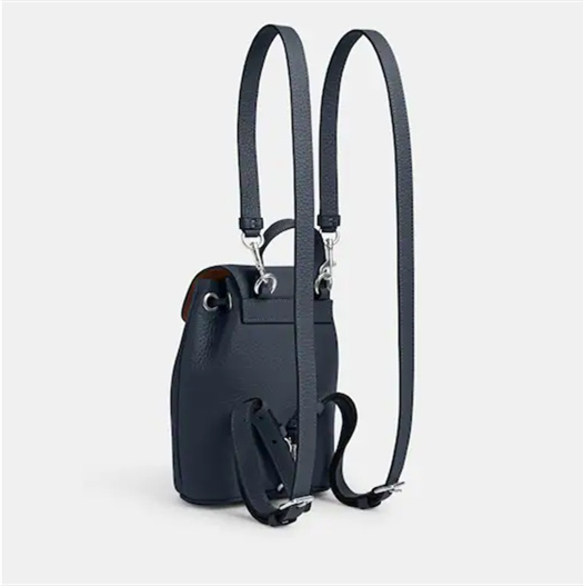 Coathtch Classic handbags
