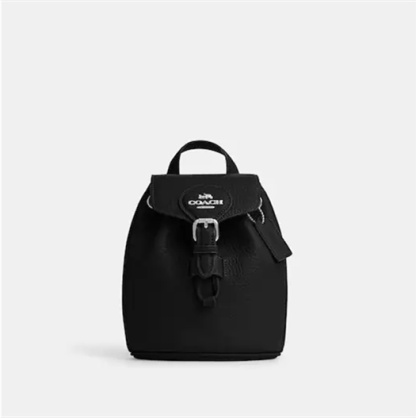 Coathtch Classic handbags