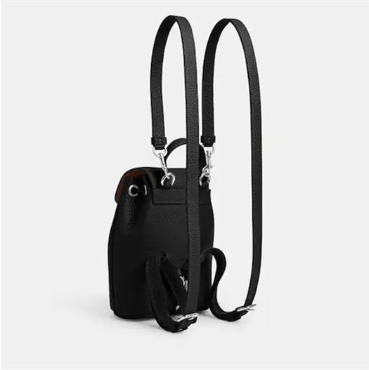 Coathtch Classic handbags