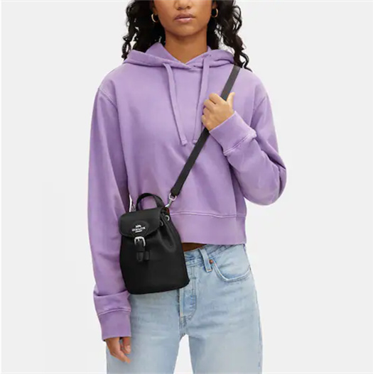 Coathtch Classic handbags