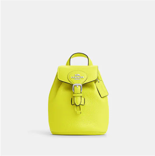 Coathtch Classic handbags