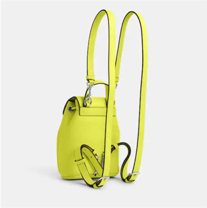 Coathtch Classic handbags