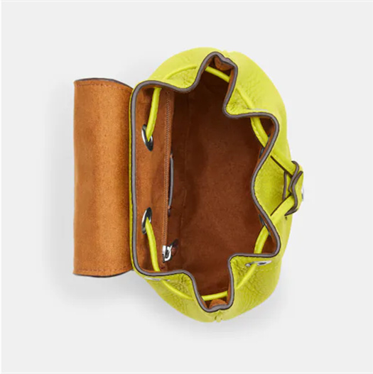 Coathtch Classic handbags
