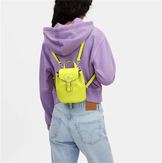 Coathtch Classic handbags