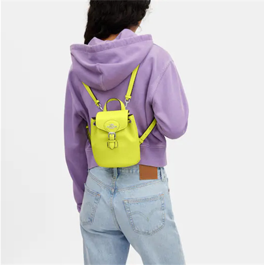 Coathtch Classic handbags