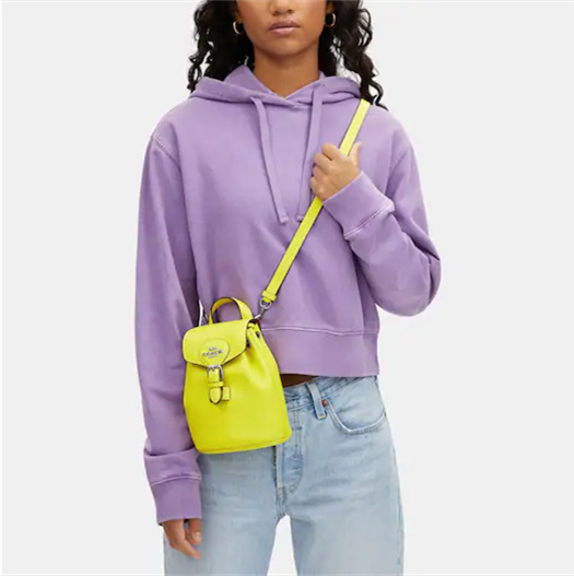 Coathtch Classic handbags
