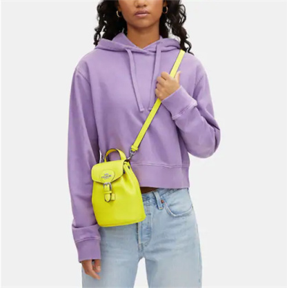 Coathtch Classic handbags