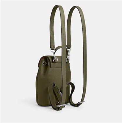 Coathtch Classic handbags