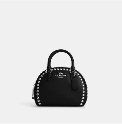 Coathtch Classic handbags