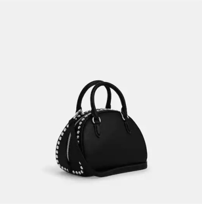 Coathtch Classic handbags