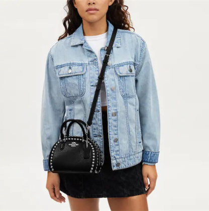 Coathtch Classic handbags